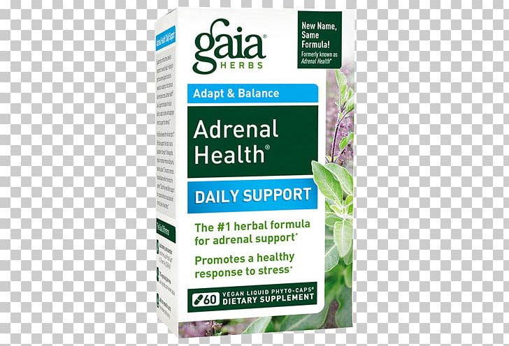 Dietary Supplement Adrenal Gland Herb Health Vegetarian Cuisine PNG, Clipart, Adaptogen, Adrenal Fatigue, Adrenal Gland, Capsule, Curcumin Free PNG Download