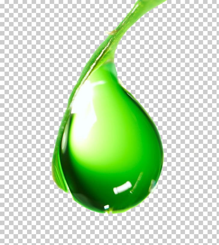 Pure-le Natural Liquid Greens Chlorophyll Pure-le Natural Liquid Greens Chlorophyll Pure-le Natural Liquid Greens Chlorophyll Water PNG, Clipart, Chlorophyll, Concentrate, Food, Fruit, Green Free PNG Download