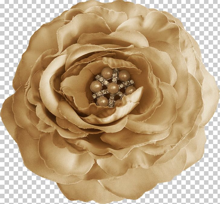 Rose PNG, Clipart, Beige, Cut Flowers, Download, Drawing, Flower Free PNG Download