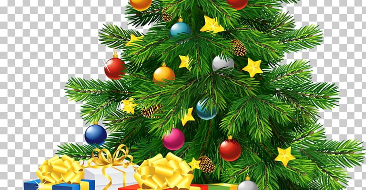 Santa Claus Royal Christmas Message Wish Christmas Tree PNG, Clipart, Blessing, Branch, Christmas, Christmas Card, Christmas Decoration Free PNG Download