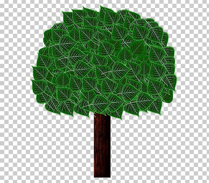 Tree 0 August PNG, Clipart, 11 August, 2013, 2016, April, August Free PNG Download