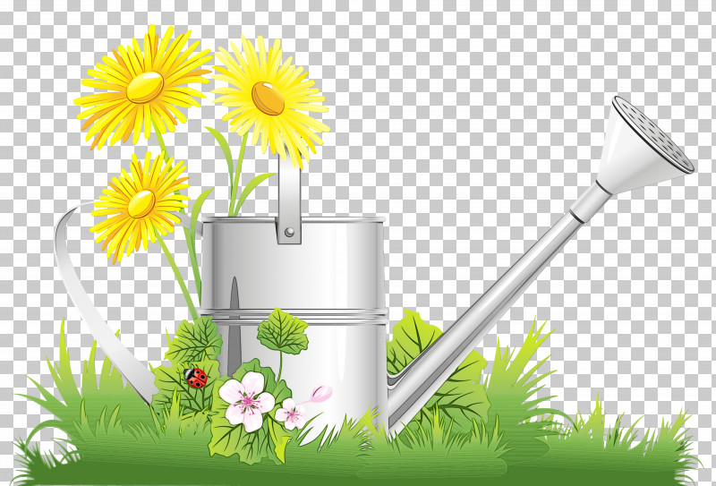 Daisy PNG, Clipart, Camomile, Daisy, Flower, Mayweed, Paint Free PNG Download
