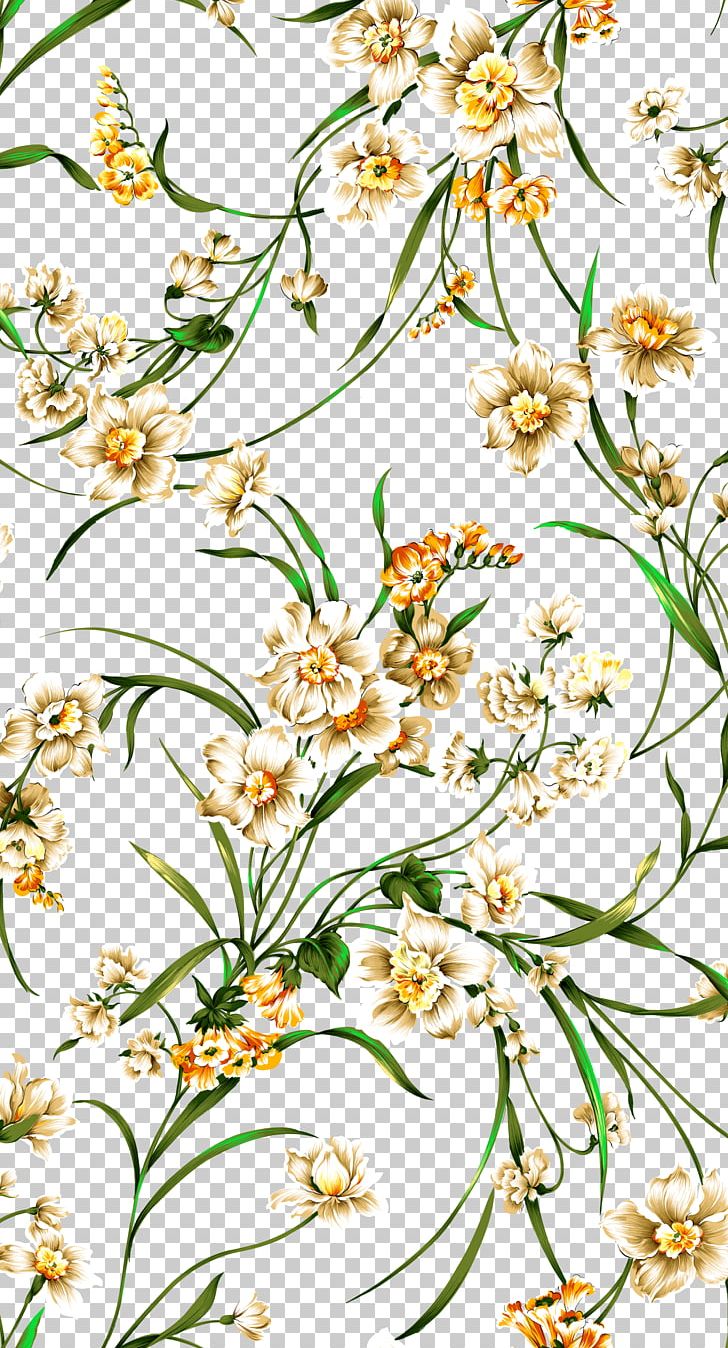 Orchids Flower Postgraduate Admission Test PNG, Clipart, Branch, Cut Flowers, Decorative Patterns, Design, Download Free PNG Download