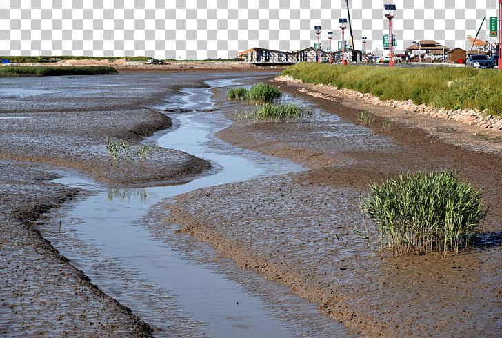 Red Beach Panjin Honghaitan Photography PNG, Clipart, Attractions, Bank, Beach, Designer, Euclid Free PNG Download