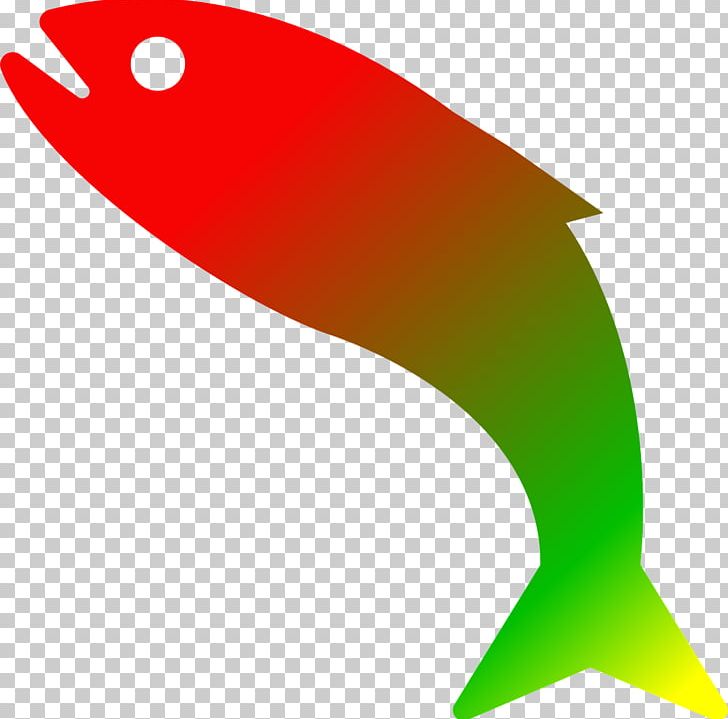 Trout Fish PNG, Clipart, Angle, Beak, Brown Trout, Desktop Wallpaper, Download Free PNG Download