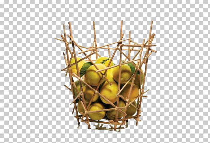 Alessi Bamboo Campana Brothers Basket PNG, Clipart, Architecture, Branches, Chair, Christmas Tree, Coconut Tree Free PNG Download