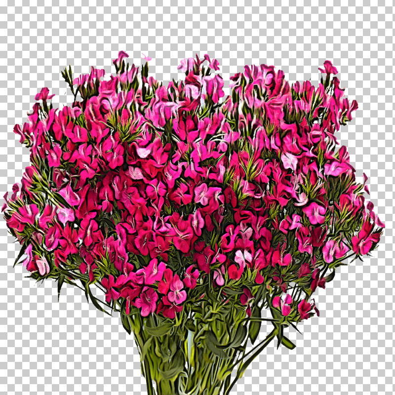 Floral Design PNG, Clipart, Annual Plant, Biology, Cut Flowers, Floral Design, Flower Free PNG Download