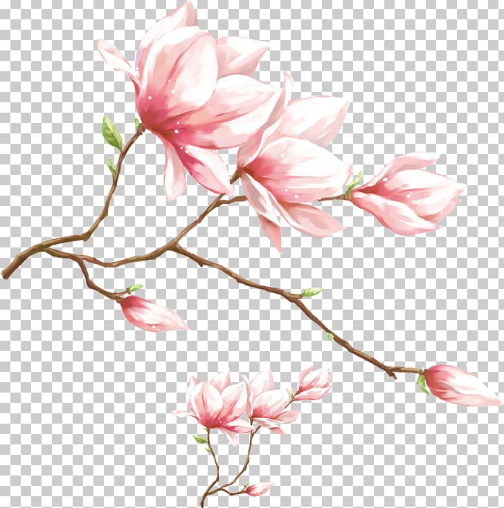 1080p High-definition Video Display Resolution PNG, Clipart, Branch, Cartoon, Cherry Blossom, Design, Desktop Wallpaper Free PNG Download