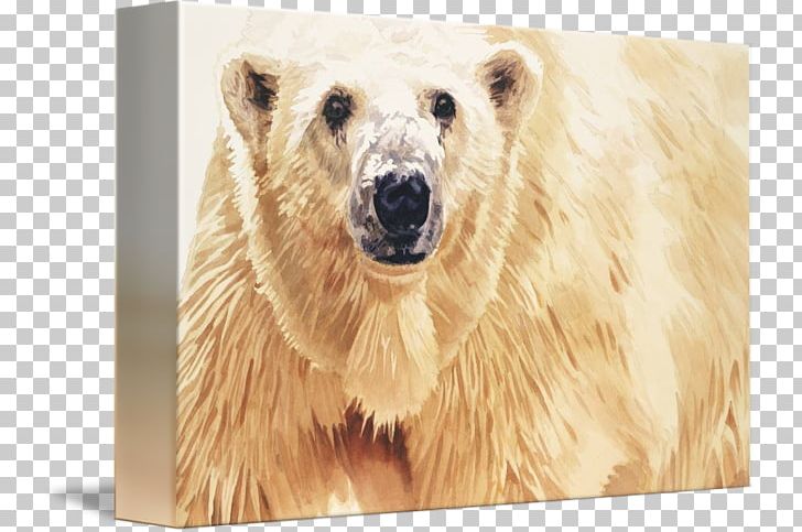 Polar Bear Grizzly Bear Watercolor Painting Watercolor: Animals PNG, Clipart, Art, Art Museum, Bear, Brown Bear, Canvas Print Free PNG Download