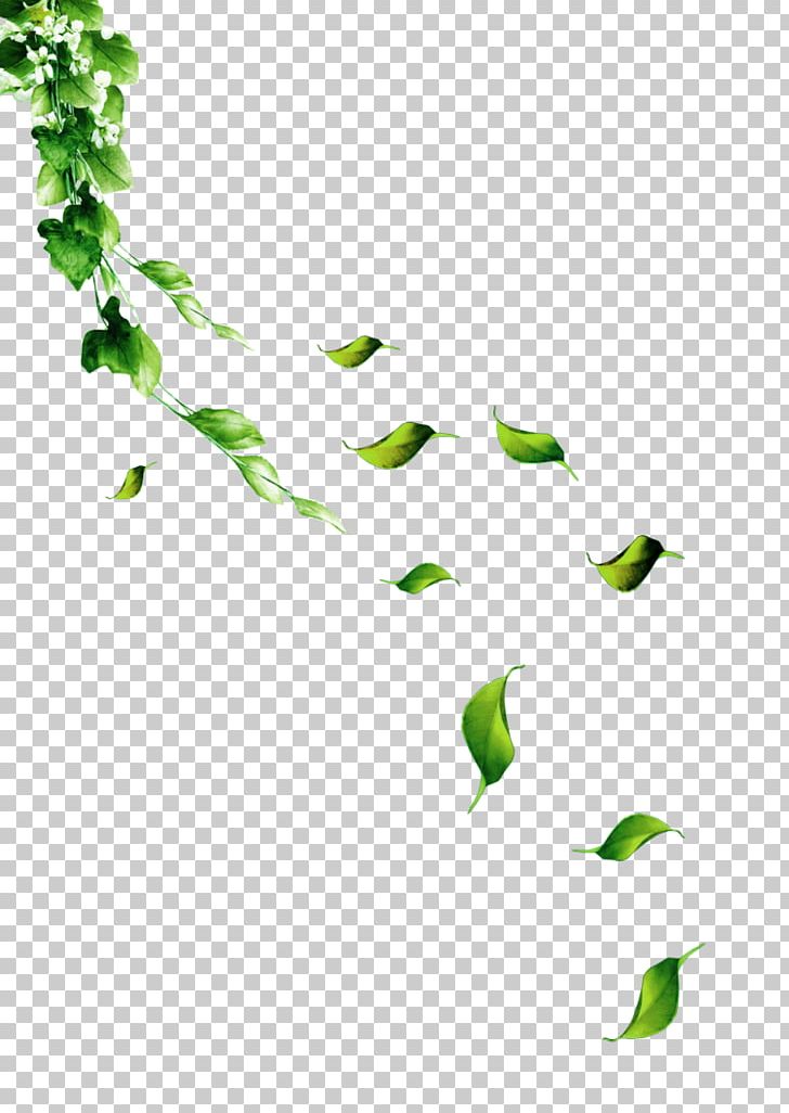 Adobe Illustrator PNG, Clipart, Adobe, Angle, Background Green, Download, Fall Leaves Free PNG Download