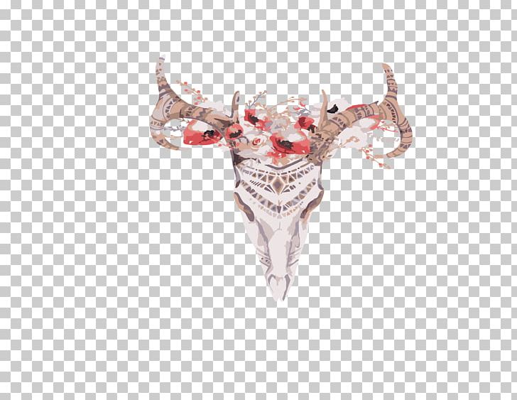 Deer Skull Cattle Horn Antler PNG, Clipart, Animals, Antler, Bone, Cattle, Cattle Like Mammal Free PNG Download