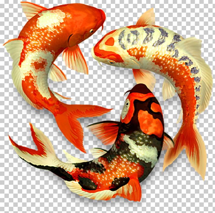 Koi Pond 3D Computer Graphics MacOS PNG, Clipart, 3d Computer Graphics, 3d Modeling, Android, Apple, Computer Software Free PNG Download