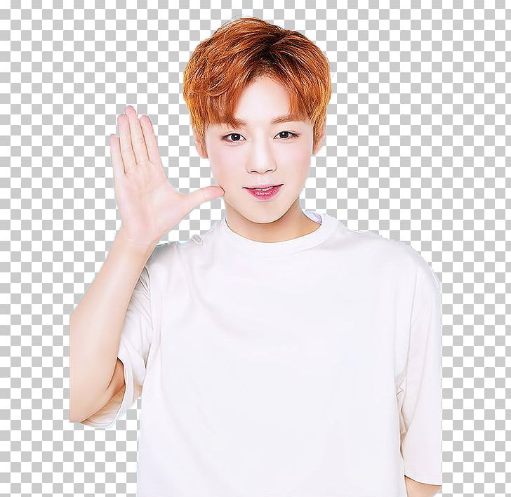 Wanna One Produce 101 Season 2 Innisfree 0+1=1 (I Promise You) PNG, Clipart, Bae Jin Young, Bangs, Brown Hair, Cheek, Chin Free PNG Download