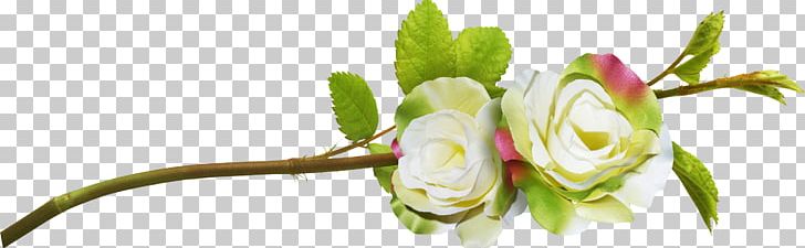 Flower Blog PNG, Clipart, Blog, Branching, Bud, Bush, Computer Icons Free PNG Download