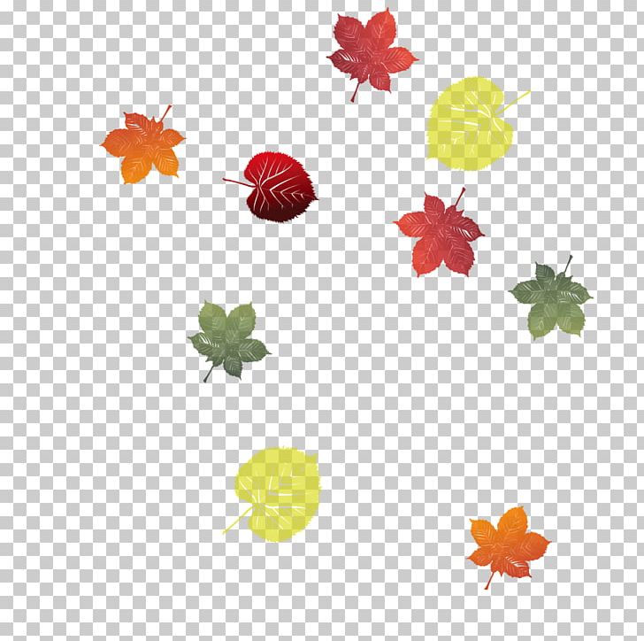 Leaf PNG, Clipart, Autumn, Autumn Leaves, Autumn Tree, Autumn Vector, Circle Free PNG Download