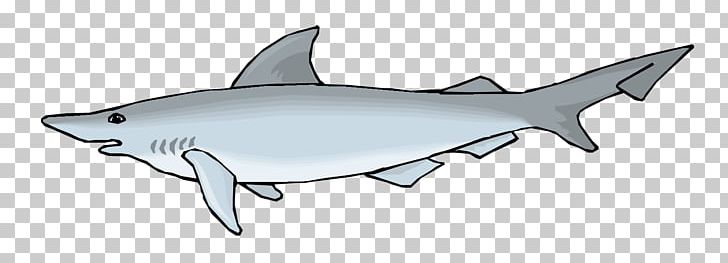 Requiem Shark Squaliformes Tiger Shark Whale Shark PNG, Clipart, Animal, Animals, Big Shark, Fish, Happy Birthday Vector Images Free PNG Download