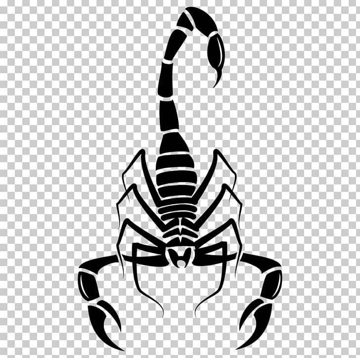 Scorpion Euclidean PNG, Clipart, Animal, Arachnid, Arthropod, Black And White, Cartoon Scorpion Free PNG Download