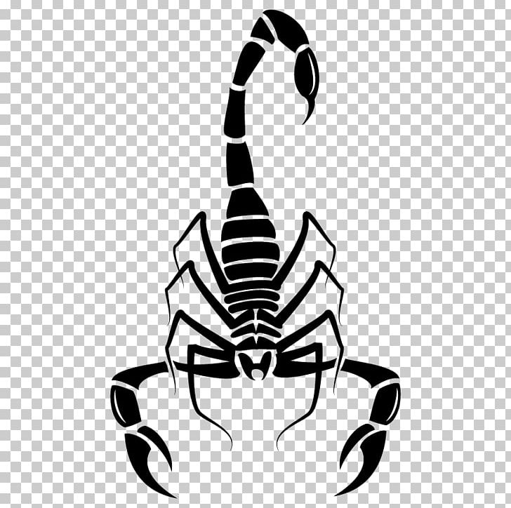 Scorpion Euclidean PNG, Clipart, Animal, Arachnid, Arthropod, Black And