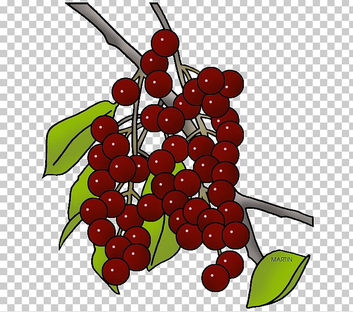 Visual Software Systems Ltd. Presentation Berries Website PNG, Clipart, Album, Animal, Berries, Berry, Branch Free PNG Download