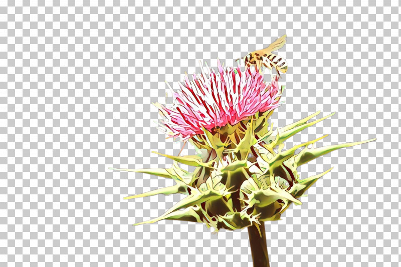 Flower Thistle Plant Burdock Pink PNG, Clipart, Artichoke Thistle, Burdock, Flower, Greater Burdock, Lesser Burdock Free PNG Download