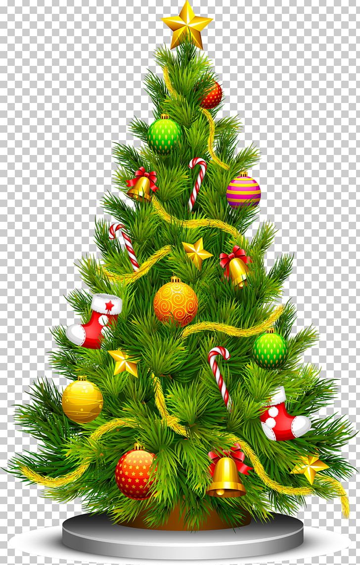 Christmas Tree PNG, Clipart, Cedar, Christmas Decoration, Christmas Frame, Christmas Lights, Christmas Tree Free PNG Download