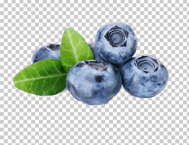 Highbush Blueberry Cocktail Stock Photography PNG, Clipart, Acai Palm, Bilberry, Blueberry, Cocktail, Electronic Cigarette Free PNG Download