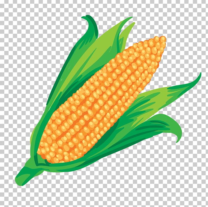 Maize Vegetable Corn On The Cob Png Clipart Commodity Corn Kernel Corn On The Cob Drawing,Nintendo Wii Games For Kids