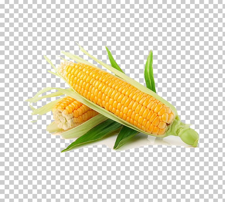 Maize Vegetable Sweet Corn Corn Kernel Fruit PNG, Clipart, Cartoon Corn, Cob, Commodity, Corn, Corn Cartoon Free PNG Download