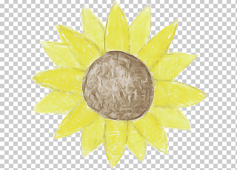 Sunflower PNG, Clipart, Daisy Family, Flower, Petal, Plant, Sunflower Free PNG Download