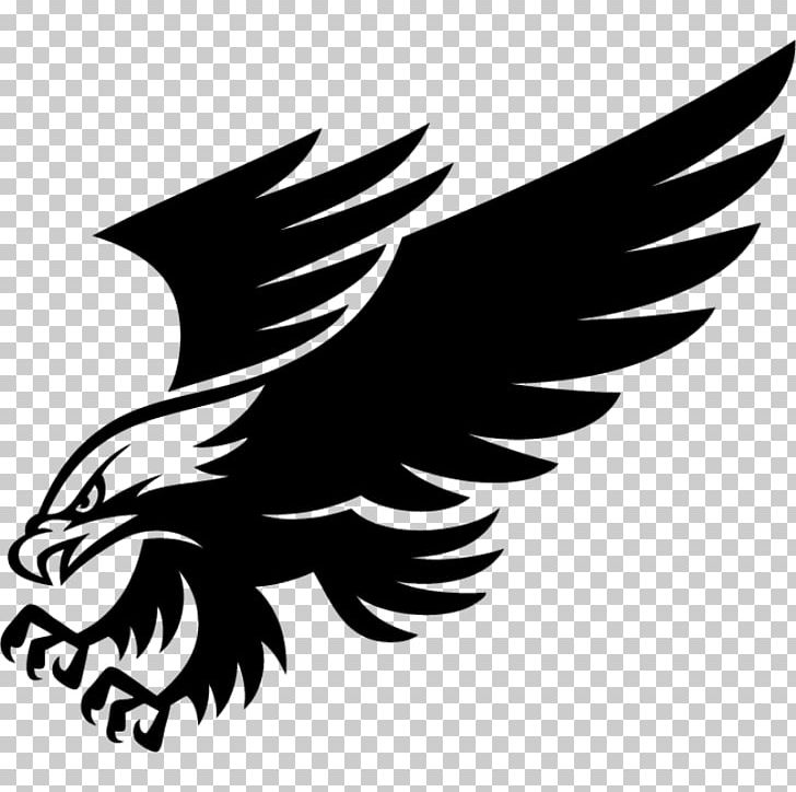 Bald Eagle Bumper Sticker Wall Decal PNG, Clipart, Adhesive, Aguila, Animals, Bald Eagle, Beak Free PNG Download