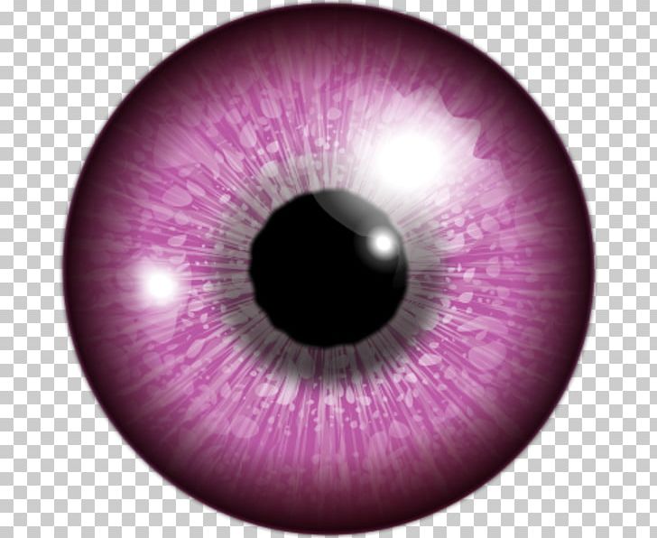 Human Eye Iris Color PNG, Clipart, Circle, Clipart, Closeup, Color, Computer Icons Free PNG Download