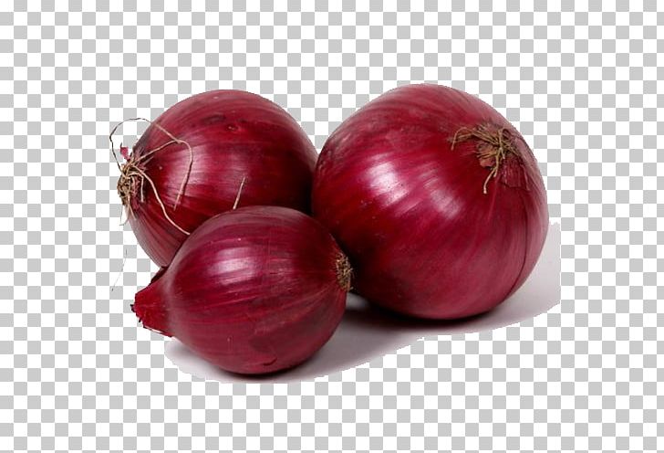 Red Onion Vegetable Potato Onion Organic Food PNG, Clipart, Beet, Beetroot, Cooking, Export, Food Free PNG Download