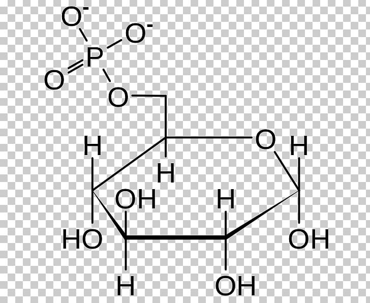 Glucose 6-phosphate Glucose-6-phosphate Dehydrogenase Glucose 6-phosphatase Fructose PNG, Clipart, Angle, Area, Black And White, Carbohydrate, Circle Free PNG Download