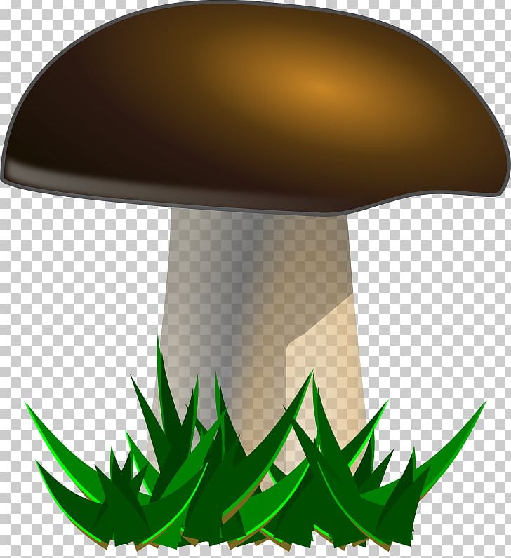 Mushroom Fungus PNG, Clipart, Download, Drawing, Fungus, Green, Leaf Free PNG Download