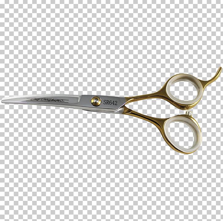 Scissors Hair Groomer Galaksi Cut & Trim Dog Grooming PNG, Clipart, Artisau Garagardotegi, Best In Show, Dog Grooming, Galaksi Cut Trim, Groomer Free PNG Download