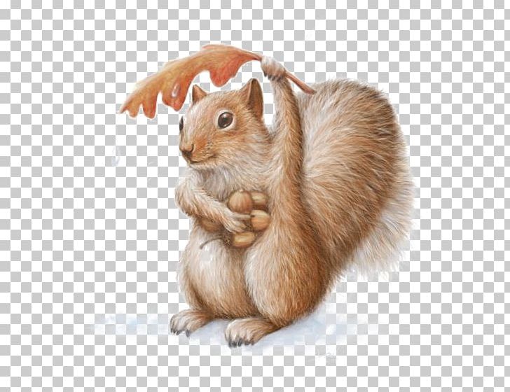 Squirrel Chipmunk Art Watercolor Painting Drawing PNG, Clipart, Animals, Buckle, Cartoon, Cute, Cute Squirrel Free PNG Download