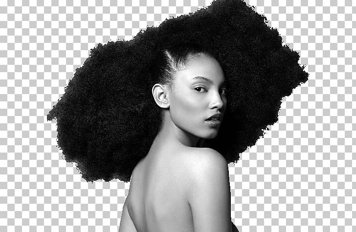 Afro-textured Hair Hairstyle Natural Hair Movement PNG, Clipart, Africanamerican Hair, Afro, Afrotextured Hair, Artificial Hair Integrations, Beauty Free PNG Download