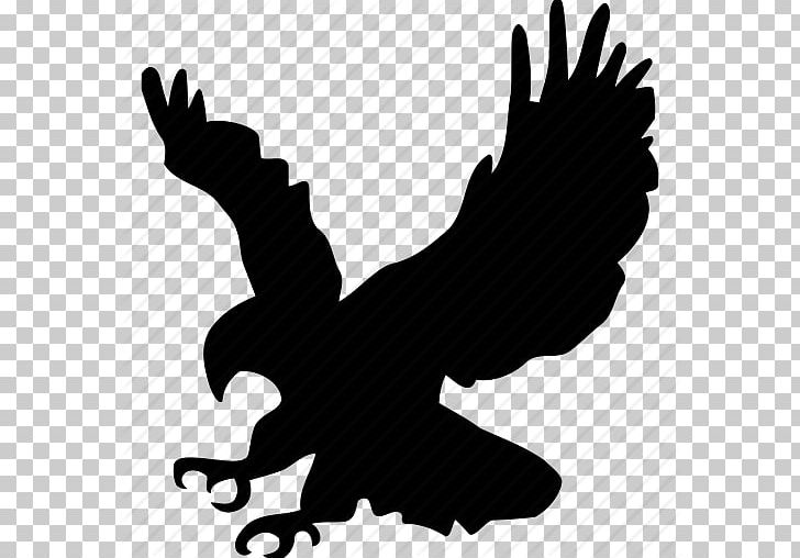 Bald Eagle Bird Golden Eagle PNG, Clipart, Animals, Bald Eagle, Beak, Bird, Bird Of Prey Free PNG Download