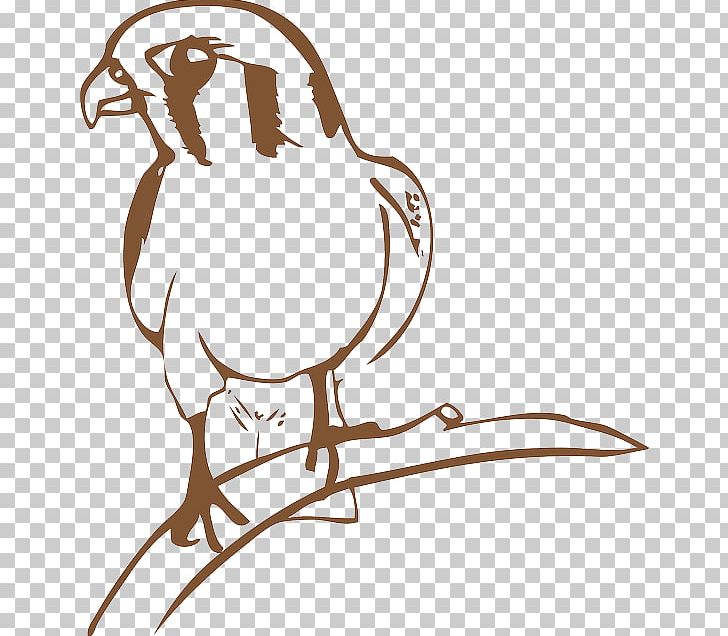 Falcon PNG, Clipart, Art, Artwork, Beak, Bird, Black And White Free PNG Download