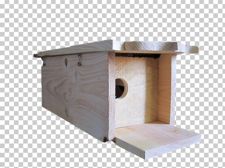 Nest Box Tawny Owl Barn Owl Armoires & Wardrobes PNG, Clipart, Angle, Animals, Armoires Wardrobes, Barn Owl, Bathroom Free PNG Download