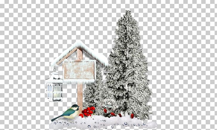 Winter Garden Christmas Tree Desktop PNG, Clipart, Christmas Day, Christmas Decoration, Christmas Ornament, Christmas Tree, Conifer Free PNG Download