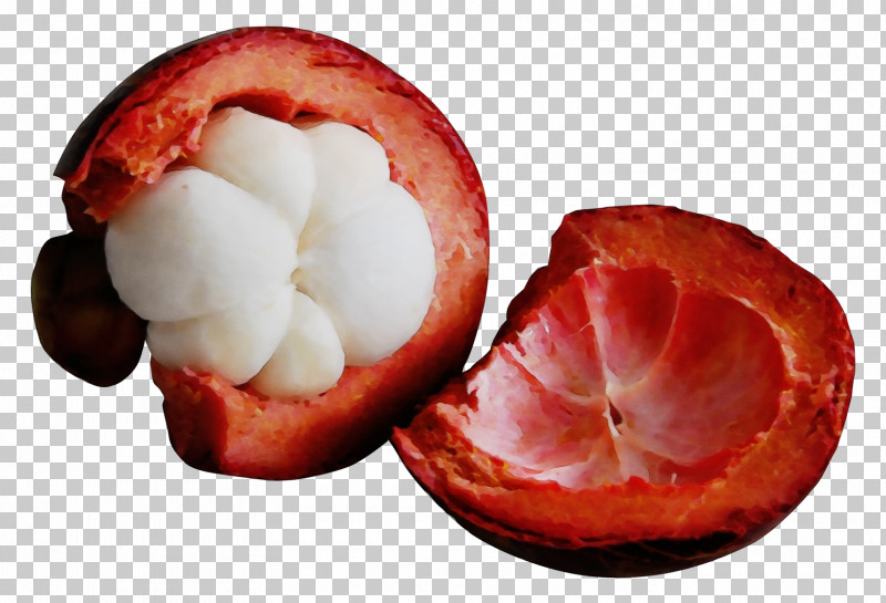 Superfood Mangosteen Fruit PNG, Clipart, Fruit, Mangosteen, Paint, Superfood, Watercolor Free PNG Download