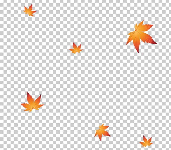Maple Leaf Shoe Euclidean PNG, Clipart, Autumn Leaf, Creatives, Decorative, Decorative Material, Designer Free PNG Download