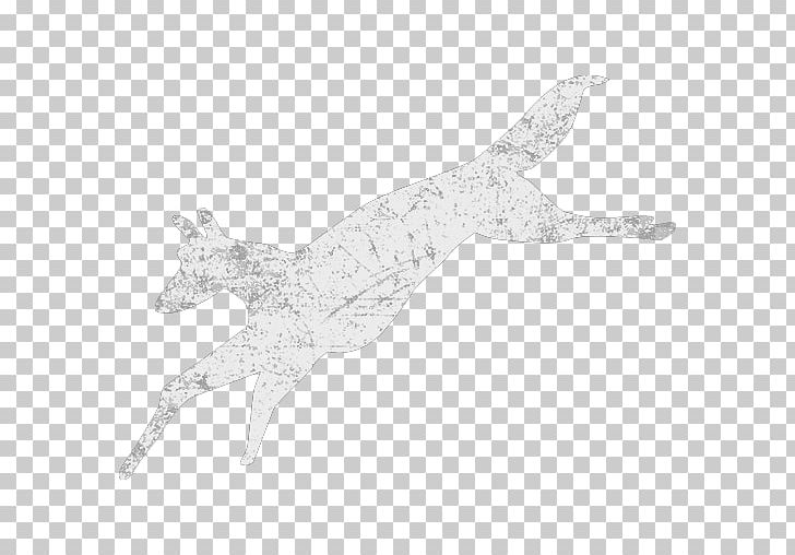 Marine Mammal H&M White Wildlife PNG, Clipart, Black And White, Hand, Joint, Mammal, Marine Mammal Free PNG Download