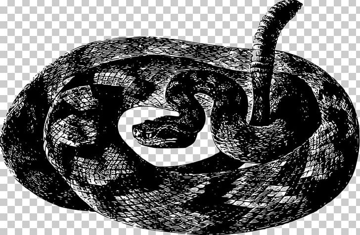 Rattlesnake Vipers Crotalus Durissus Crotalus Basiliscus PNG, Clipart, Animal, Animals, Black And White, Boa Constrictor, Boas Free PNG Download
