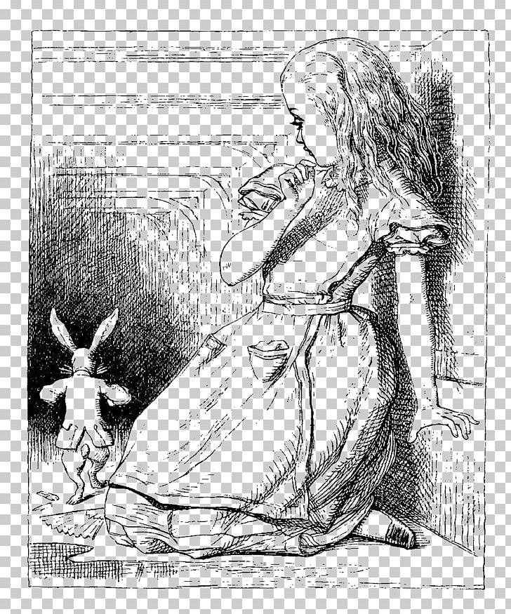 Alice's Adventures In Wonderland White Rabbit Aliciae Per Speculum Transitus Dodo PNG, Clipart,  Free PNG Download