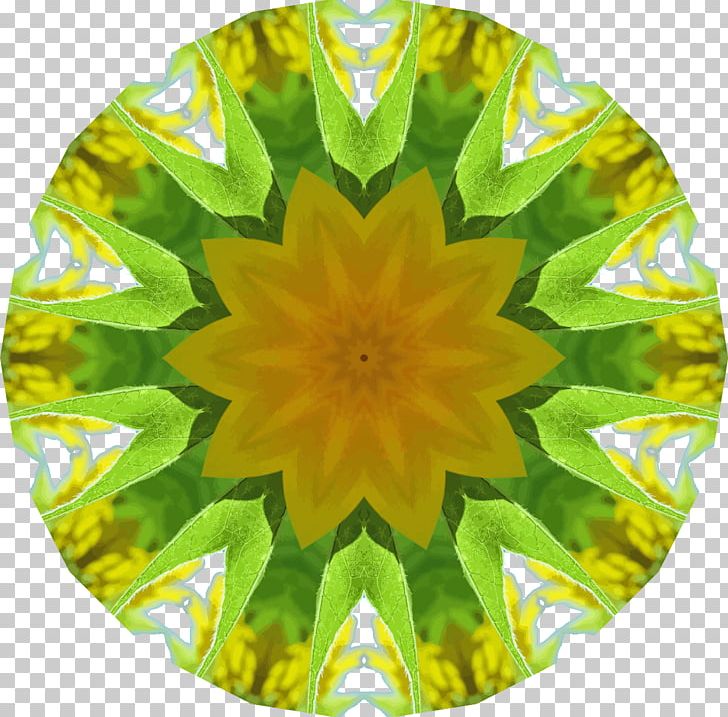Common Sunflower Sunflower Seed Kaleidoscope Symmetry Pattern PNG, Clipart, Common Sunflower, Flower, Flowers, Kaleidoscope, Sunflower Free PNG Download