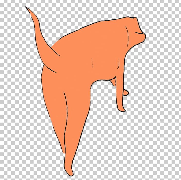 Whiskers Dog Cat Canidae Snout PNG, Clipart, Animals, Canidae, Carnivoran, Cat, Cat Like Mammal Free PNG Download