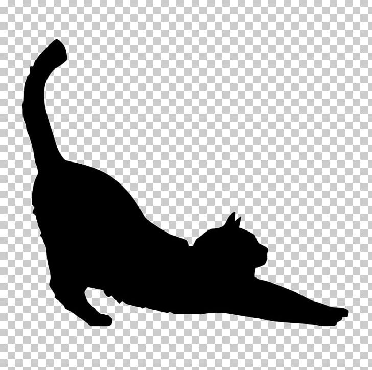 Black Cat Silhouette Kitten PNG, Clipart, Animals, Black, Black And White, Black Cat, Carnivoran Free PNG Download