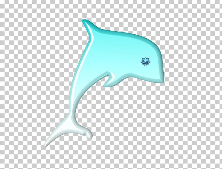 Common Bottlenose Dolphin Tucuxi Drawing Cetacea PNG, Clipart, Biology, Bottlenose Dolphin, Cat, Cetacea, Common Bottlenose Dolphin Free PNG Download